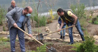Романос Петросян дал старт всеармянской инициативе "10 миллионов деревьев"