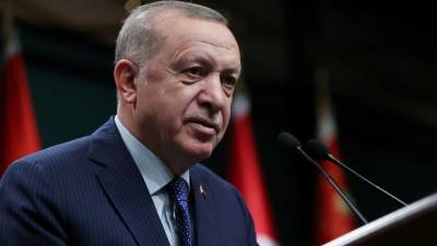 Эрдоган: сотрудничество Анкары и Киева не направлено против других стран