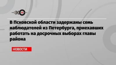 В Псковской области задержаны семь наблюдателей из Петербурга, приехавших работать на досрочных выборах главы района