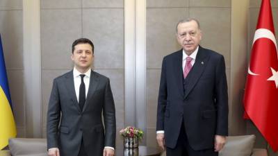Эрдоган изложил Зеленскому позицию Турции по Крыму