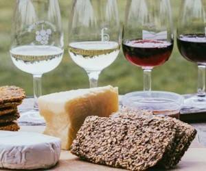 Учёные выяснили, что вино и сыр помогают снизить риск деменции