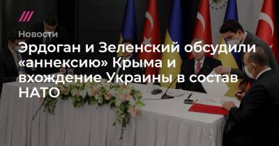 Эрдоган и Зеленский обсудили «аннексию» Крыма и вхождение Украины в состав НАТО