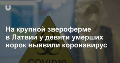 На крупной звероферме в Латвии у девяти умерших норок выявили коронавирус