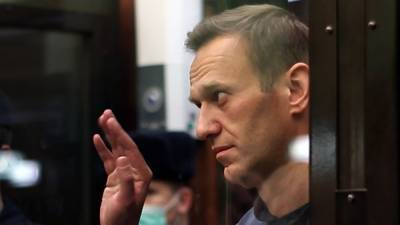 Недопустимо: немецкие депутаты обвинили Россию в пытках Навального