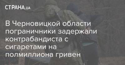 В Черновицкой области пограничники задержали контрабандиста с сигаретами на полмиллиона гривен