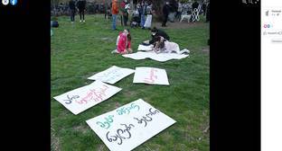 Активисты выступили против проекта создания Центрального парка в Тбилиси