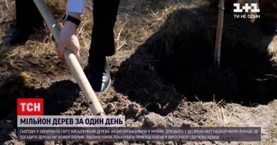 Марьяна Олеськив - Миллион деревьев за один день: в 100 странах мира высаживали растения - tsn.ua - Украина - Киев - Швейцария