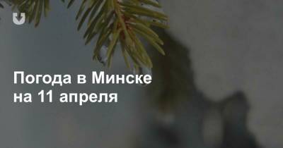 Погода в Минске на 11 апреля - news.tut.by - Минск - Минская обл.