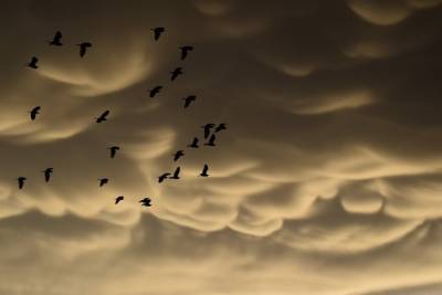 В петербургском небе увидели редкие облака