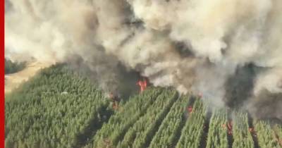 Лесные пожары в России 2021 года: горят 822 га, потушено 674 га