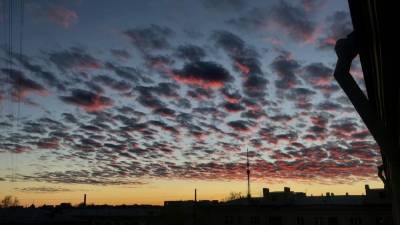 Необычные тропические облака привлекли внимание жителей Петербурга
