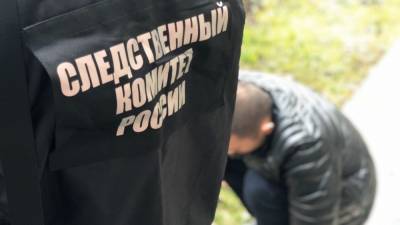 Двое подростков-грабителей мобильного салона задержаны в Новосибирске