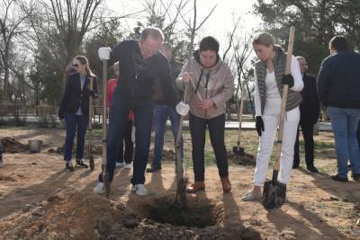 В Астрахани высадили три тысячи деревьев