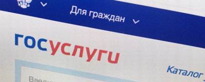 50% педагогов Новосибирска готовят голосовать через сайт госуслуг