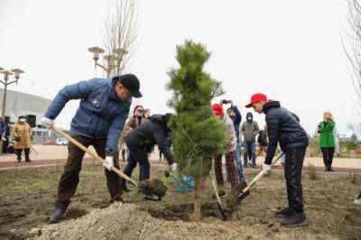 Больше 200 тысяч деревьев и кустов 10 апреля посадили в Ростовской области
