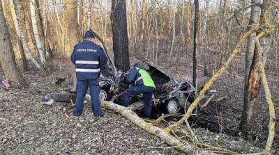 В Пинском районе легковушка врезалась в деревья - погибли водитель и пассажирка