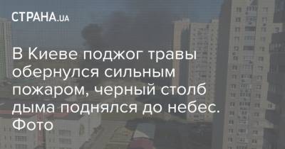 В Киеве поджог травы обернулся сильным пожаром, черный столб дыма поднялся до небес. Фото