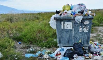 В Красноярске жители «вырастили» под окнами дома мусорную свалку