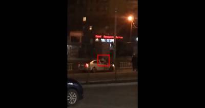 Во Львове мужчина под наркотиками бросался на машины и прыгал по их крышам (видео)