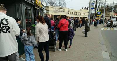 На входе в Калининградский зоопарк собралась очередь из сотни людей (фото, видео)