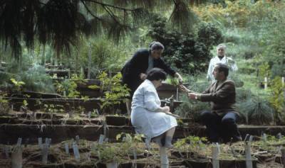 Русский профессор Краснов подарил грузинскому туризму козырь – Ботанический сад Батуми