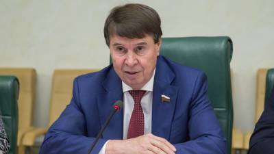 Сенатор Цеков назвал позицию Турции по Крыму нереалистичной