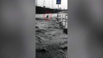 Спас прохожий: башкирского школьника на роликах смыло в реку