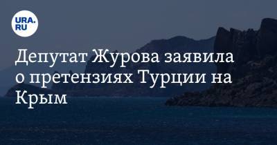 Депутат Журова заявила о претензиях Турции на Крым. «Считают, что это их территория»