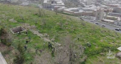 600 деревьев Сараланджа: в Ереване стартовала программа озеленения. Видео