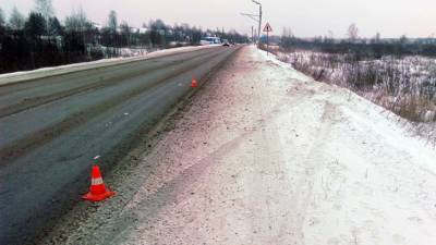 Водитель иномарки улетел в кювет и погиб на волгоградской трассе