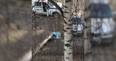Упавшее дерево убило пожилого жителя Барнаула - ren.tv - Барнаул - Керчь - район Индустриальный