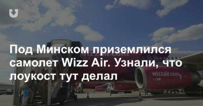 Под Минском приземлился самолет Wizz Air. Узнали, что лоукост тут делал