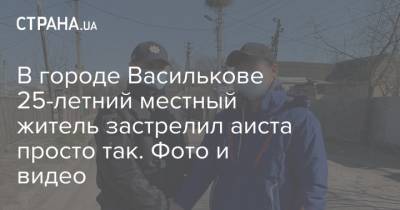 В городе Василькове 25-летний местный житель застрелил аиста просто так. Фото и видео