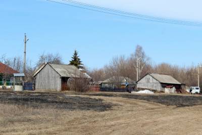 В Путятинском районе выгорело более трёх гектаров сухой травы