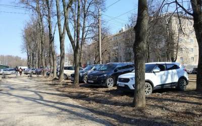 Туляк пожаловался на автохамов, которые продолжают парковаться на газонах - 7info.ru - Тула