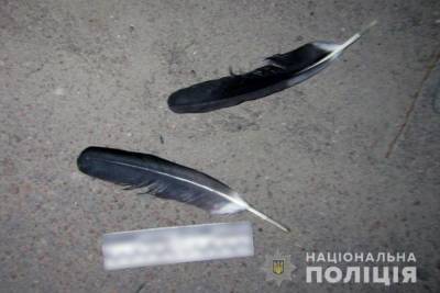 Ради развлечения: на Киевщине мужчина застрелил аиста – фото, видео