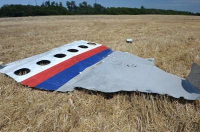 Стрелков отреагировал на расследование голландских журналистов о крушении Boeing под Донецком