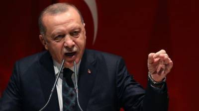 Эрдоган выступил за выполнение Минских соглашений