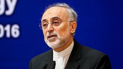 Вице-президент Ирана заявил о теракте на ядерном объекте в Натанзе