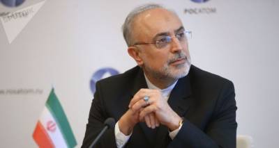 Али Акбар Салехи - Инцидент в Натанзе является проявлением "ядерного терроризма" – вице-президент Ирана - ru.armeniasputnik.am - Иран