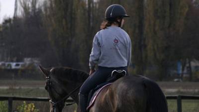 Ведомая подростком лошадь сбросила на асфальт ребенка в Екатеринбурге