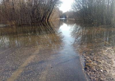В Лесопарке затопило автомобильную дорогу - ya62.ru - Рязань