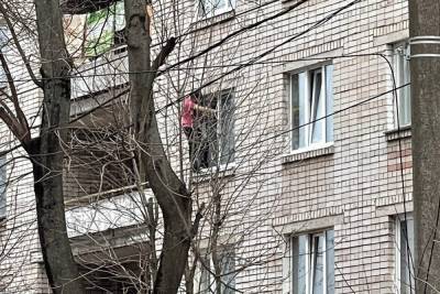 В Твери бдительных граждан насторожил гуляющий по окну сосед