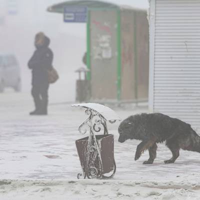 В Якутске введен режим повышенной готовности из-за снегопада