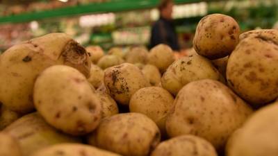 Картофель фри собственного производства скоро появится в Тульской области