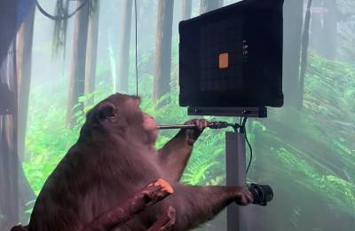У Илона Маска показали чипированную обезьяну, которая играет в видеоигру "силой мысли"