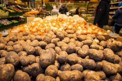 Российским дачникам грозят штрафы за посадку и продажи не той картошки