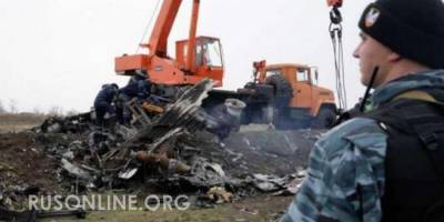 Эксперт хоронит версию о «Буке»: В деле MH17 обнаружилась интересная деталь