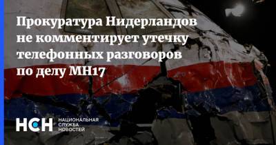 Прокуратура Нидерландов не комментирует утечку телефонных разговоров по делу MH17