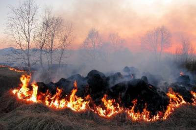 Собственников земель заставят отвечать за лесные пожары в Забайкалье